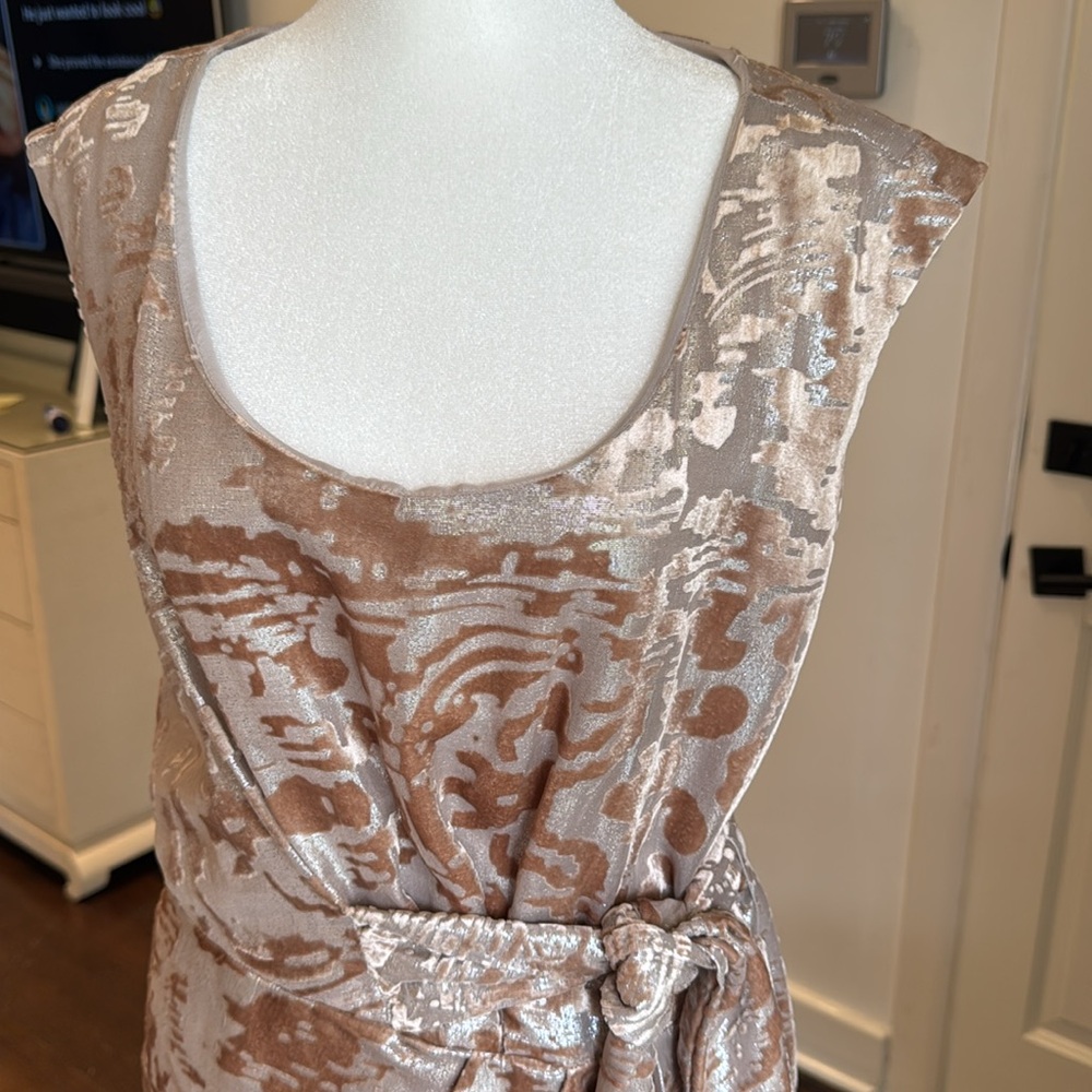 Cynthia Steffe - Josie Burnout Blush & Champagne Gold Metallic Dress - Size: 2 - Picture 3 of 9